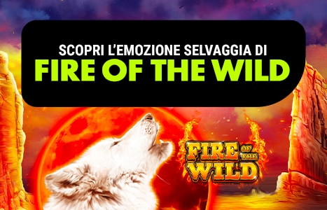 Banner Fire Of The Wild